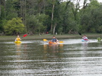 IMG 4091
